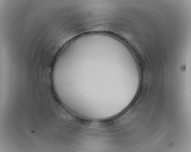 X0000090621265200708141405