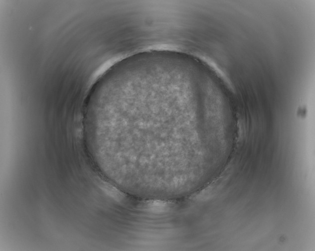 X0000090621266200708141405