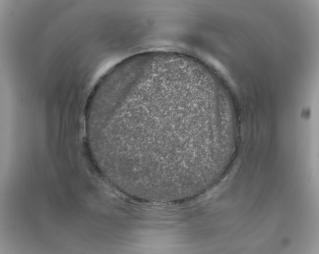 X0000090621267200708141405