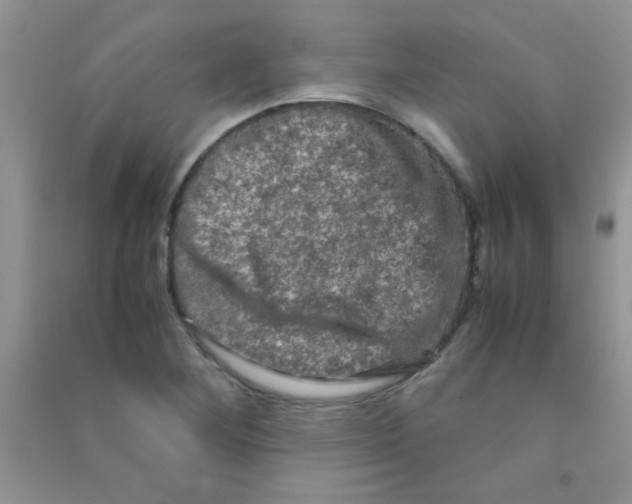 X0000090621268200708141405