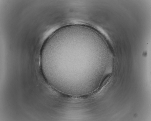 X0000090621269200708141405