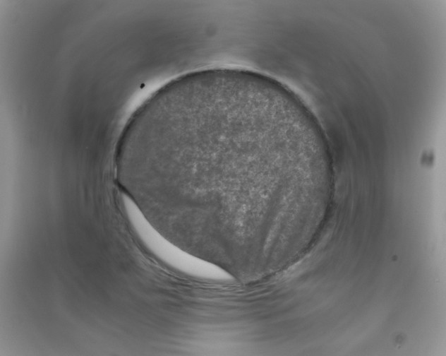 X0000090621271200708141405