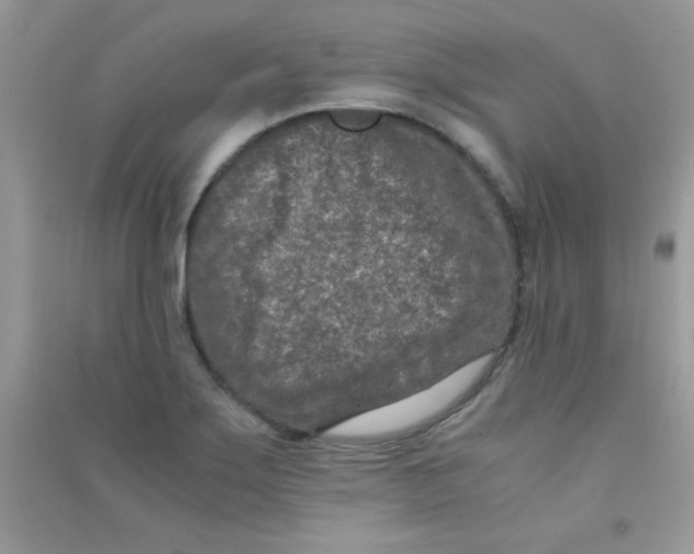 X0000090621275200708141405