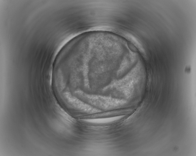 X0000090621276200708141405