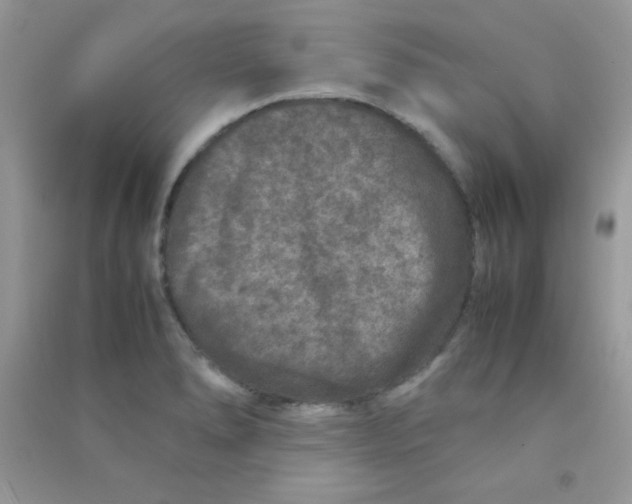 X0000090621278200708141405