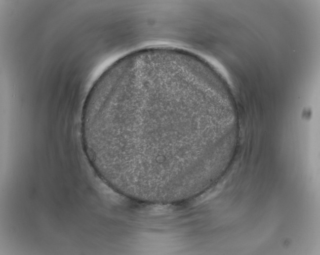 X0000090621279200708141405