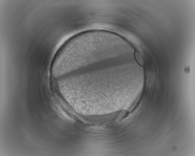 X0000090621280200708141405