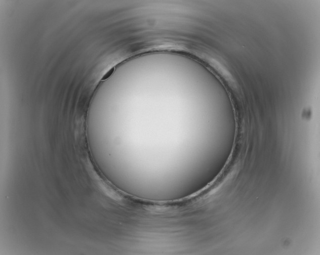 X0000090621281200708141405