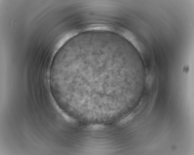 X0000090621282200708141405