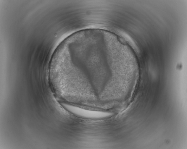 X0000090621284200708141404