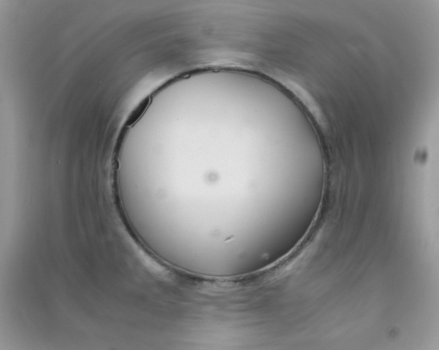 X0000090621285200708141404