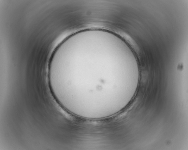 X0000090621286200708141404