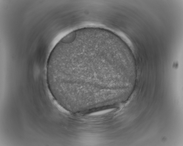 X0000090621287200708141404