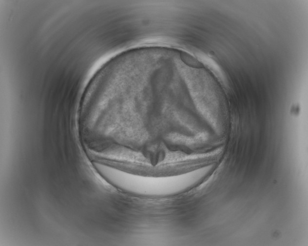 X0000090621288200708141404