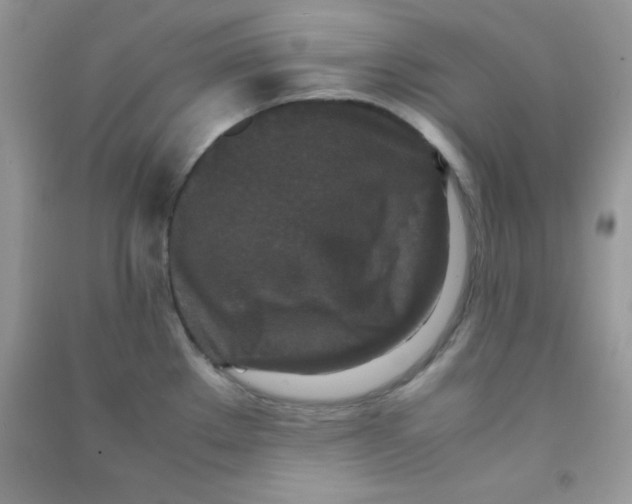 X0000090621289200708141404