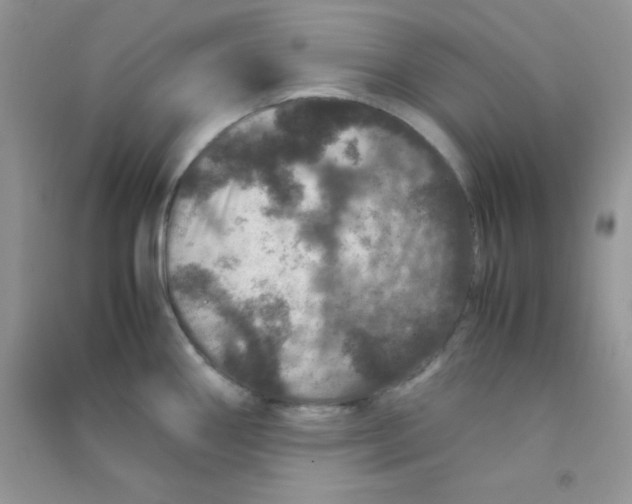 X0000090621290200708141404