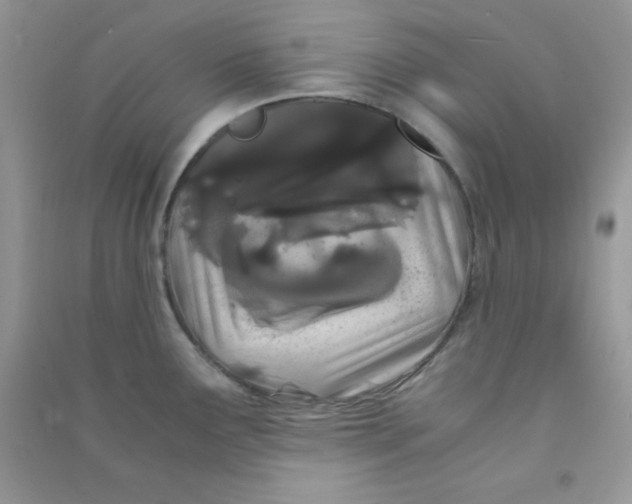 X0000090621291200708141404