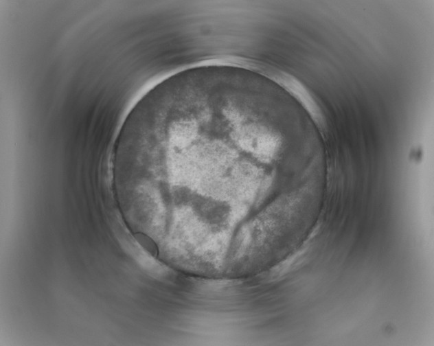 X0000090621292200708141404