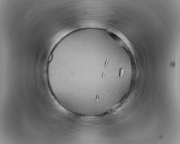 X0000090621293200708141404