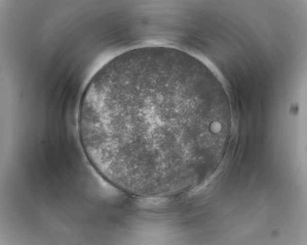 X0000090621294200708141404