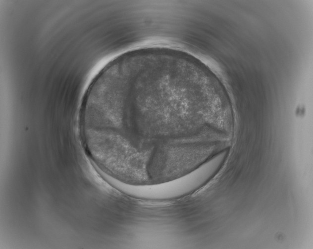 X0000090621296200708141404