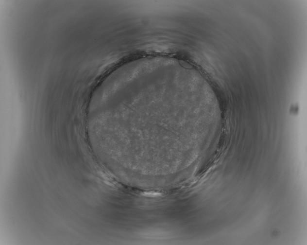 X0000090621297200708141404