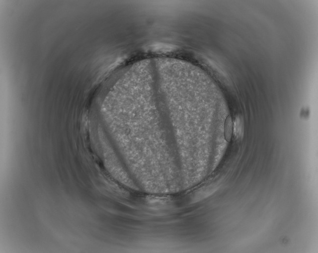 X0000090621299200708141404