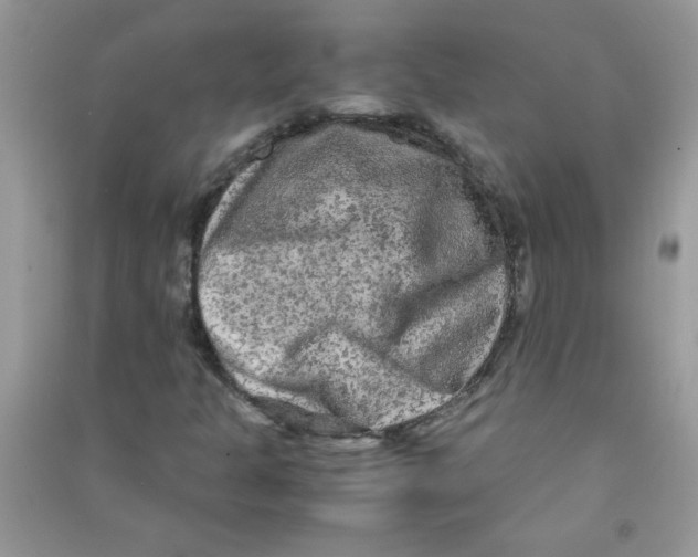 X0000090621301200708141404