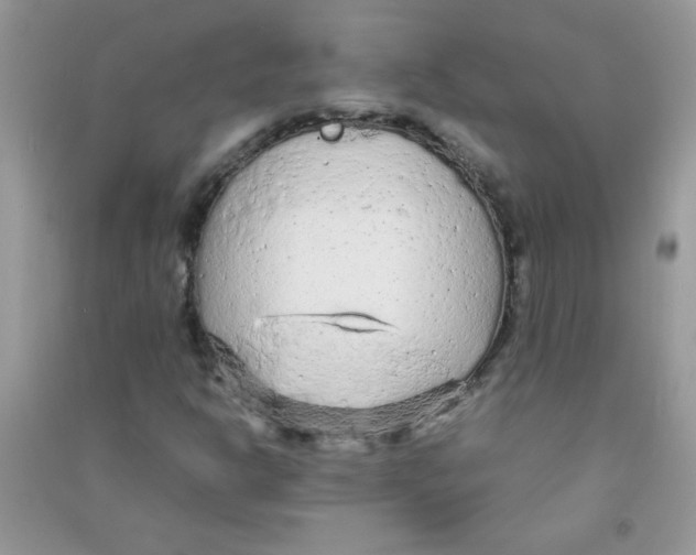 X0000090621302200708141404