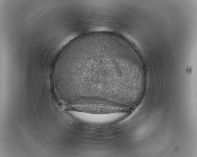 X0000090621305200708141404