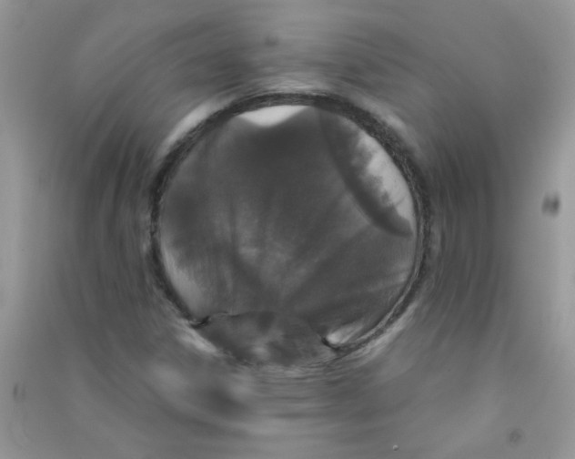 X0000090621306200708141404