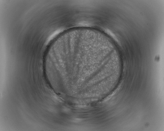 X0000090621307200708141404