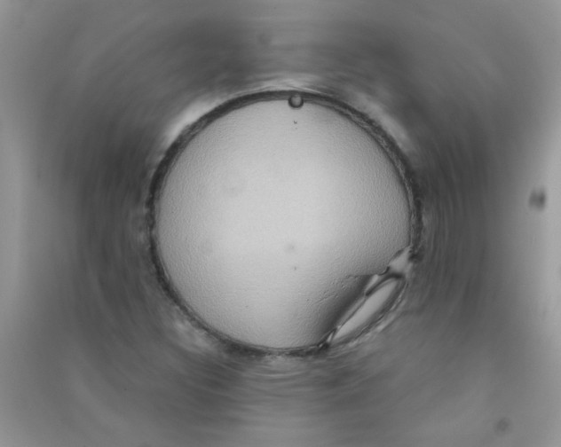 X0000090621308200708141404