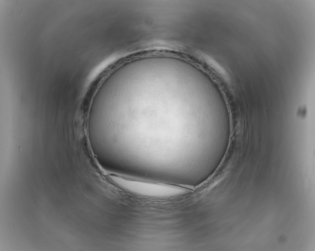 X0000090621310200708141404