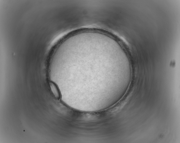 X0000090621311200708141404