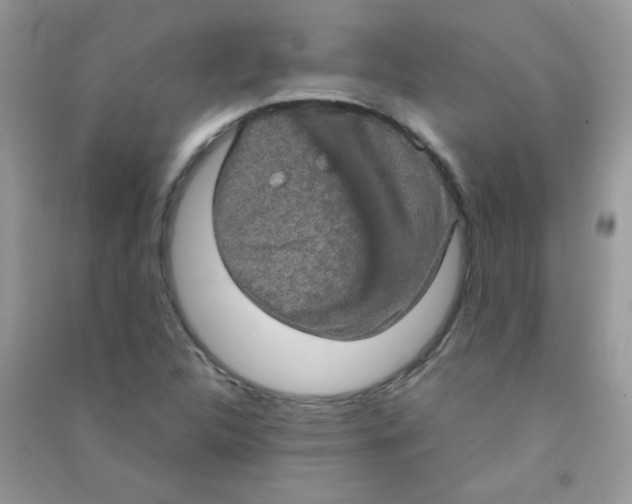 X0000090621312200708141404