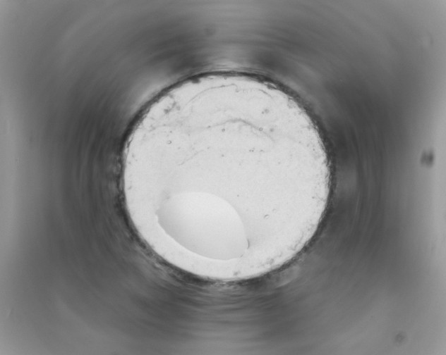 X0000090621314200708141404