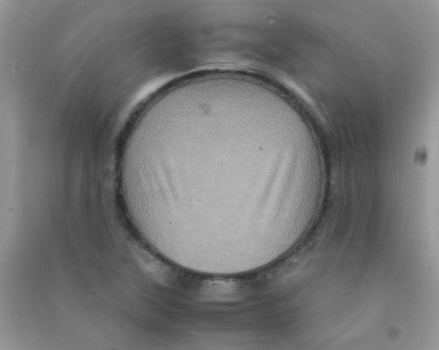 X0000090621315200708141404