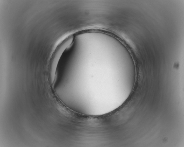 X0000090621316200708141404