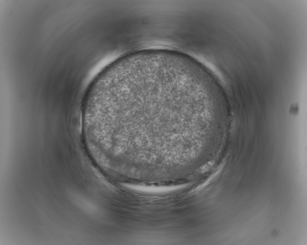 X0000090621317200708141404