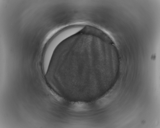 X0000090621319200708141404