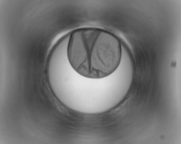 X0000090621320200708141404