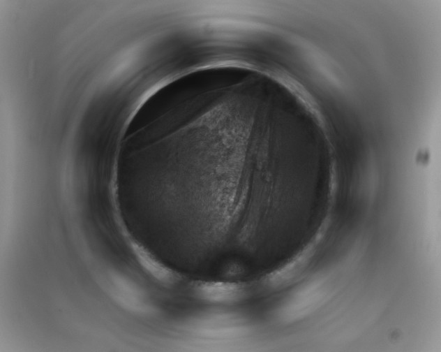 X0000090621321200708141404