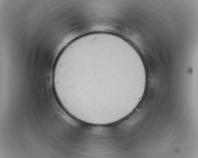 X0000090621322200708141404