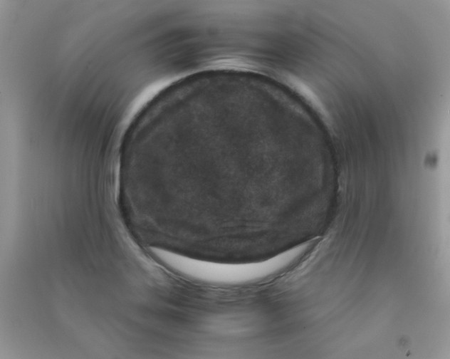 X0000090621323200708141404