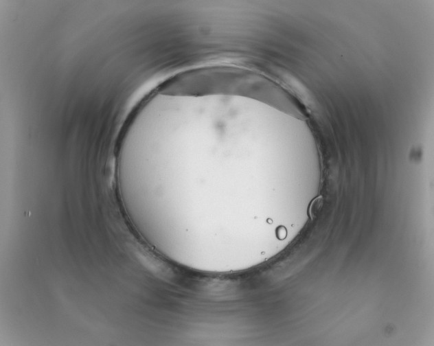 X0000090621324200708141404