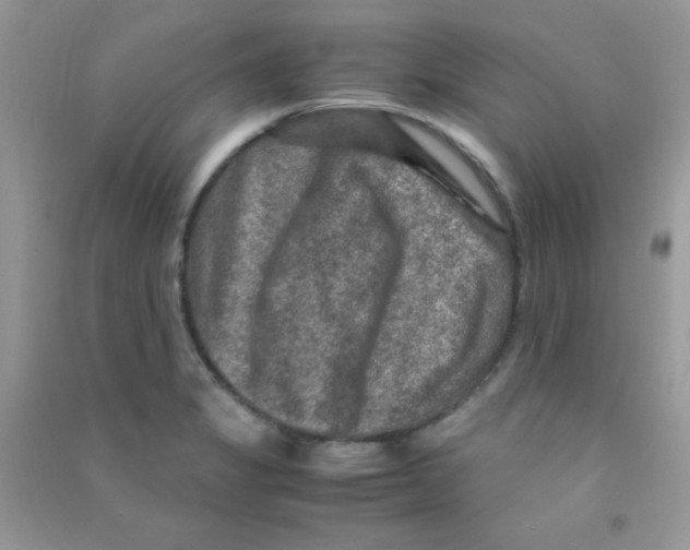 X0000090621325200708141404