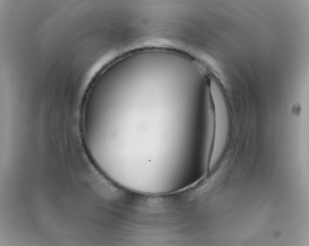 X0000090621326200708141404