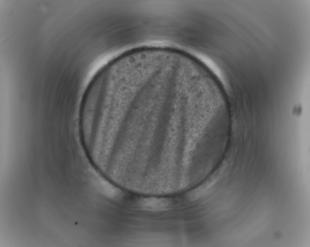 X0000090621327200708141404