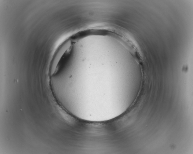 X0000090621328200708141404